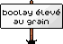 boolay.png