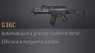 G36C
