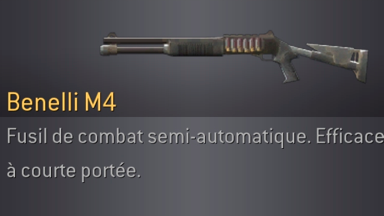 BenelliM4